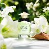 Dolce & Gabbana Dolce Edp 75 ml